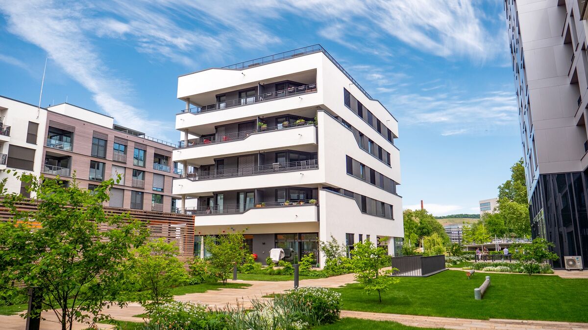 Modern house